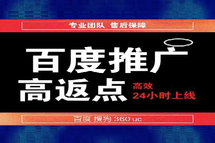 百度竞价赚钱秘诀：实战案例分析